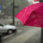 Best Life Insurance Companies (2023)